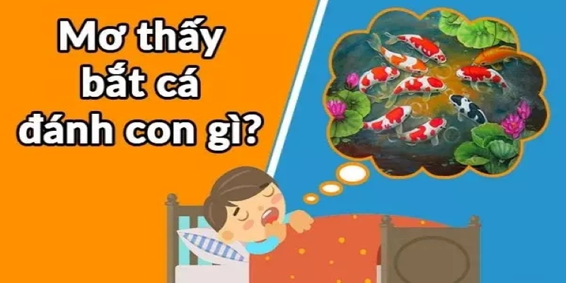 Mơ thấy cá mang nhiều ý nghĩa phong thủy đặc biệt