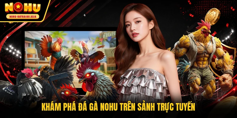 Khám phá đá gà NOHU trên sảnh trực tuyến